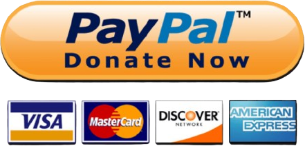 Donate to Michigan ElvisFest